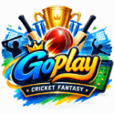 GoPlay11, GoPlay, GoPlay11 App and GoPlay App gaming platform visual